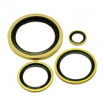 0139 10 00 BI-MATERIAL CAPTIVE SEALING WASHER 1/8" PARKER LEGRİS